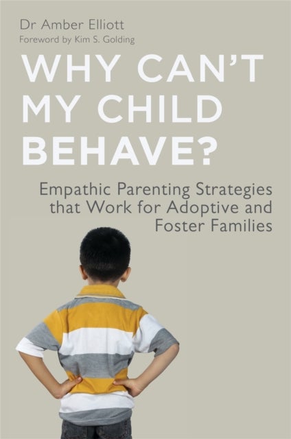 Why Can't My Child Behave? - Empathic Parenting Strategies that Work for Adoptive and Foster Families