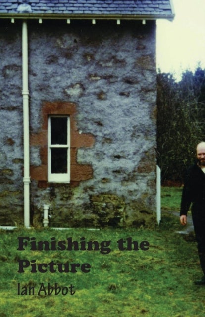 Finishing the Picture - Collected Poems