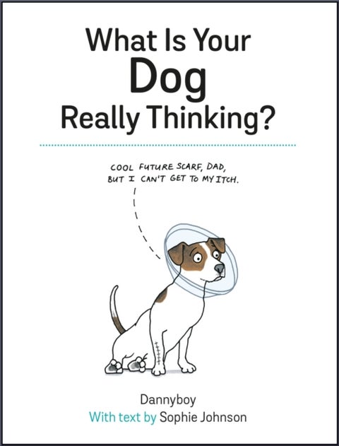 What Is Your Dog Really Thinking? - Funny Advice and Hilarious Cartoons to Help You Understand What Your Dog is Trying to Tell You