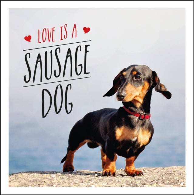 Bilde av Love Is A Sausage Dog Av Charlie Ellis