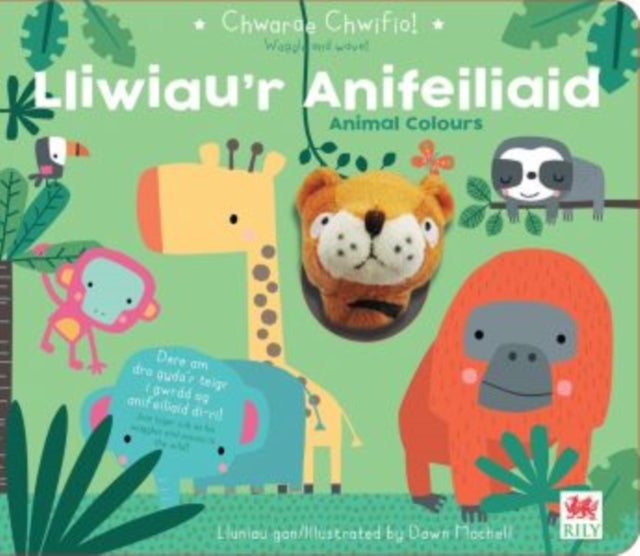 Bilde av Chwarae Chwifio: Lliwiau&#039;r Anifeiliaid / Animal Colours Av Really Decent Books