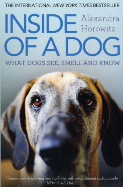 Inside of a Dog - What Dogs See, Smell, and Know