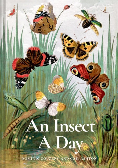 An Insect A Day - Bees, bugs, and pollinators for every day of the year