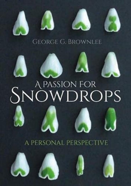 A Passion for Snowdrops - a personal perspective
