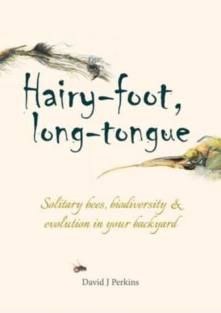 Hairy-foot, long-tongue - Solitary bees, biodiversity & evolution in your backyard