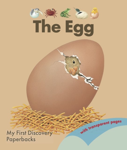 The Egg av Rene Mettler
