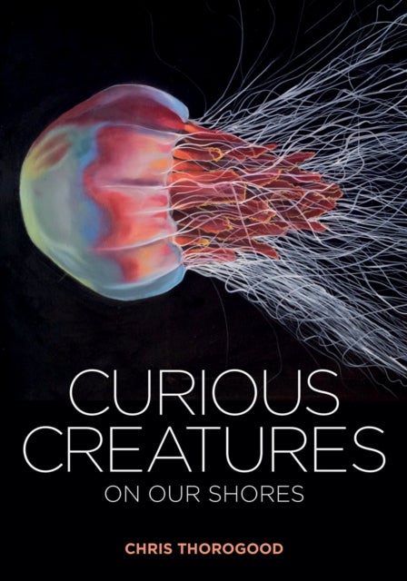 Bilde av Curious Creatures On Our Shores Av Chris Thorogood