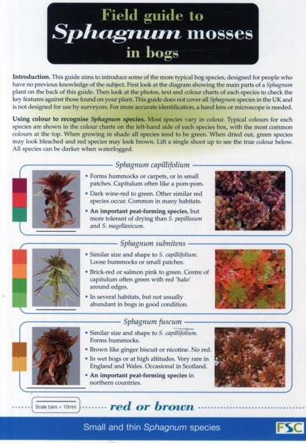 Bilde av Field Guide To Sphagnum Mosses In Bogs Av John O&#039;reilly, Claire O&#039;reilly, Ros Tratt