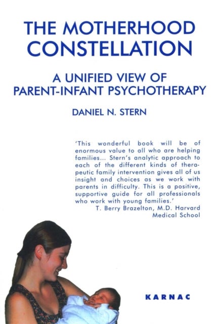 The Motherhood Constellation - A Unified View of Parent-Infant Psychotherapy