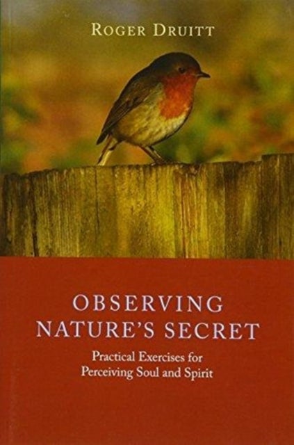 Observing Nature's Secret - Practical Exercises for Perceiving Soul and Spirit