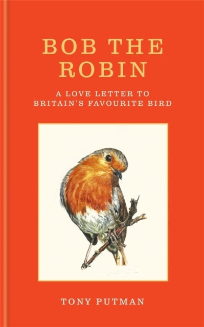 Bob the Robin - A love letter to Britain¿s favourite bird