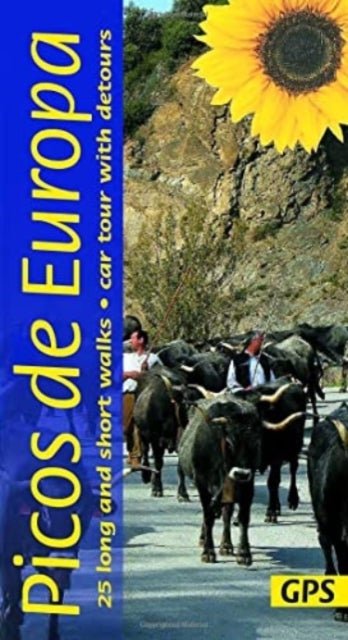 Picos de Europa Guide: 25 long and short walks with detailed maps and GPS; car tour with pull-out ma