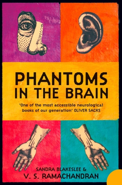 Phantoms in the Brain - Human Nature and the Architecture of the Mind