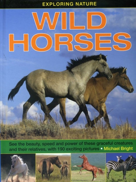 Bilde av Exploring Nature: Wild Horses Av Bright Michael