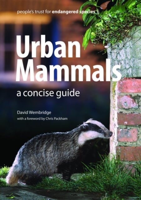 Bilde av Urban Mammals Av David Wembridge