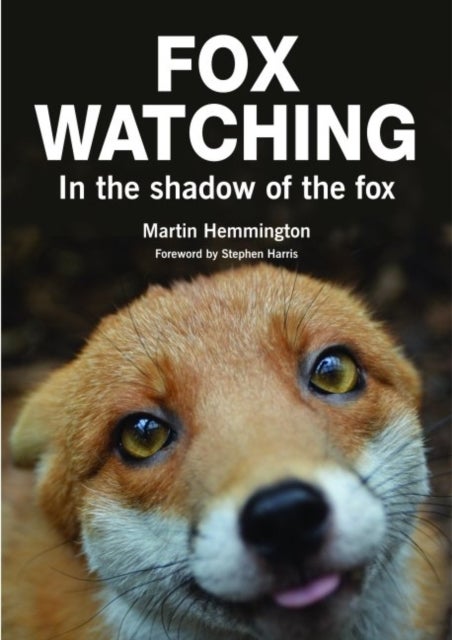 Fox Watching - In the Shadow of the Fox
