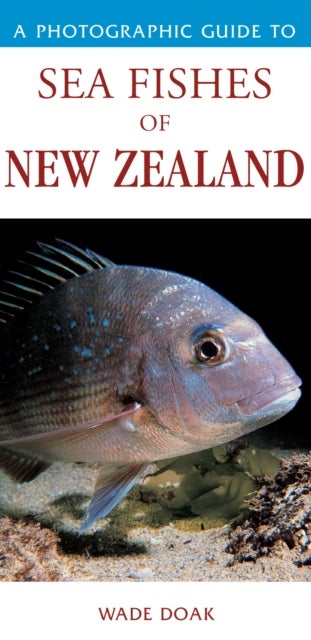Bilde av Photographic Guide To Sea Fishes Of New Zealand Av Doak Wade