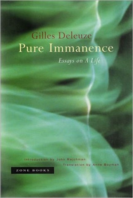 Pure Immanence - Essays on A Life