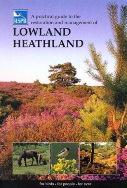 Bilde av A Practical Guide To The Restoration And Management Of Lowland Heathland