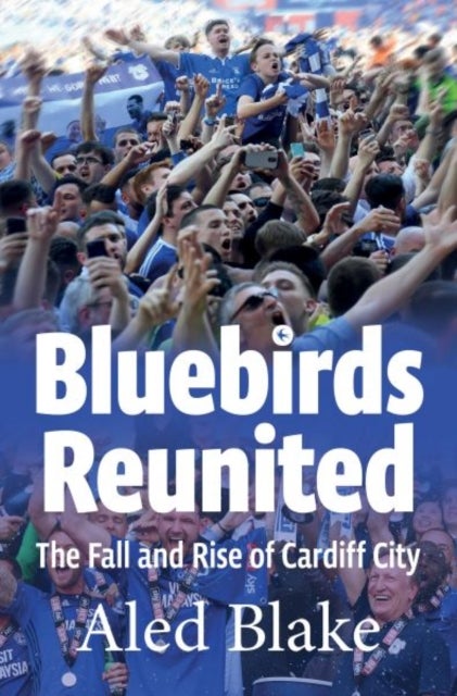 Bilde av Bluebirds Reunited Av Aled Blake