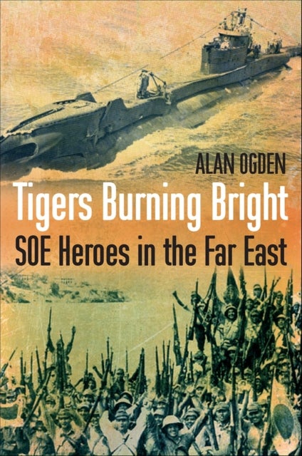 Bilde av Tigers Burning Bright Av Alan Ogden