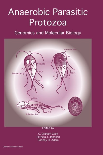 Anaerobic Parasitic Protozoa - Genomics and Molecular Biology