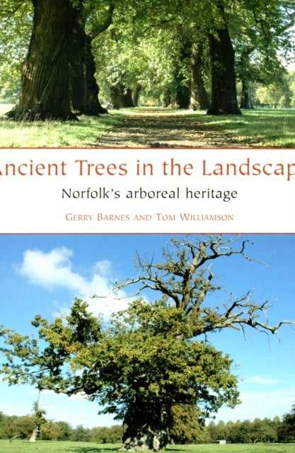 Bilde av Ancient Trees In The Landscape Av Gerry Barnes, Tom Williamson