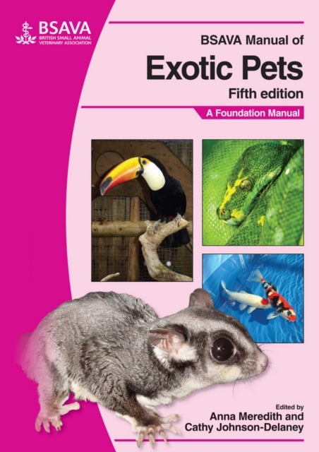 Bilde av Bsava Manual Of Exotic Pets