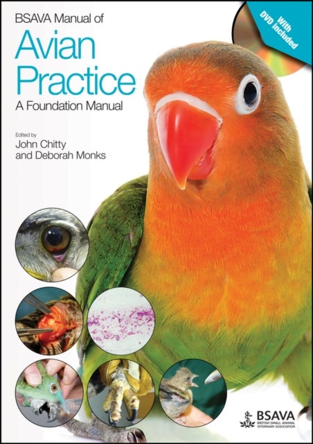 Bilde av Bsava Manual Of Avian Practice: A Foundation Manual
