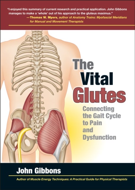 The Vital Glutes - Connecting the Gait Cycle to Pain and Dysfunction