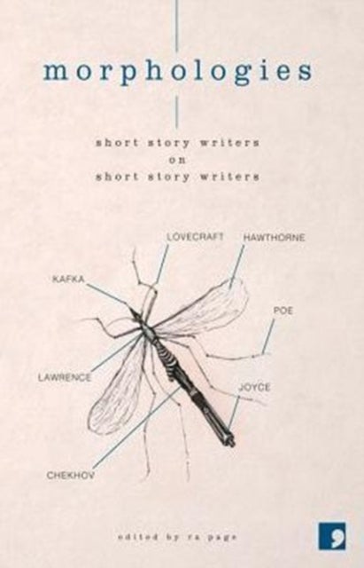 Morphologies - Short Story Writers on Short Story Writers