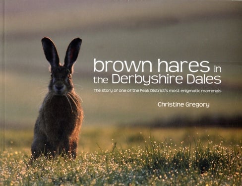 Brown Hares in the Derbyshire Dales - The Story of One of the Peak District's Most Enigmatic Mammals
