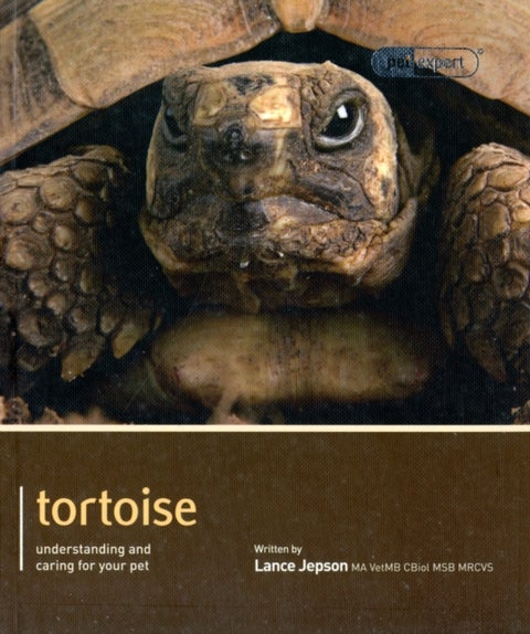 Tortoise - Pet Expert - Understanding and Caring for Your Pet