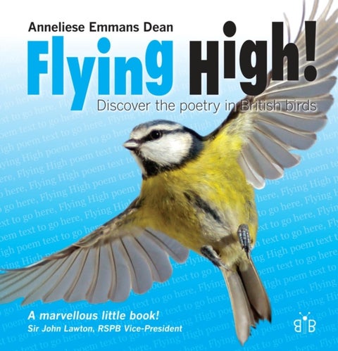 Flying High - Discover the Poetry in British Birds