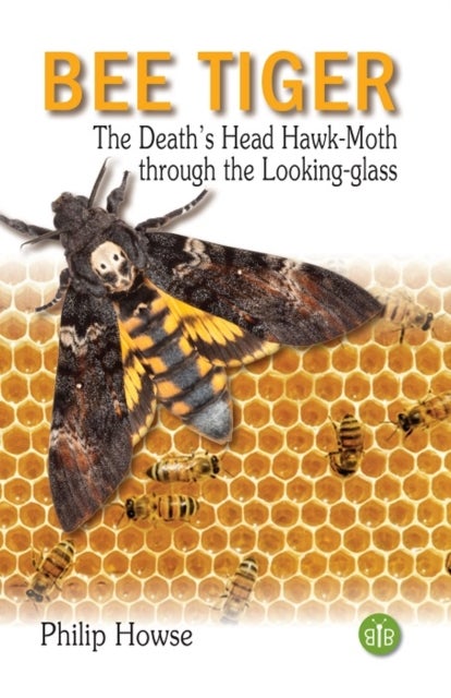 Bee Tiger - The Death's Head Hawk-moth through the Looking-glass