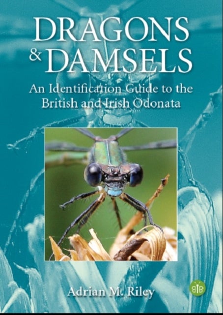 Dragons and Damsels - An identification guide to the British and Irish Odonata