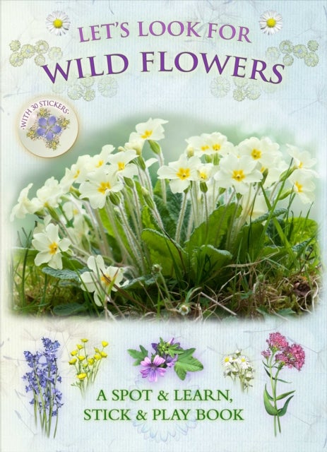 Bilde av Let&#039;s Look For Wild Flowers Av Caz Buckingham, Andrea Pinnington