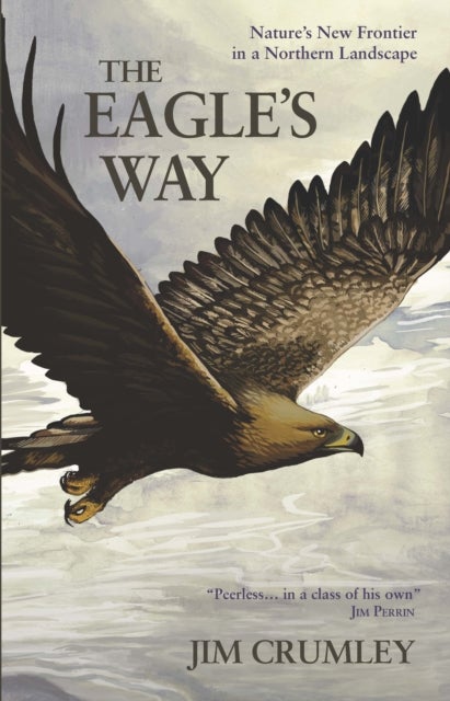 The Eagle's Way - Nature's New Frontier in a Northern Landscape