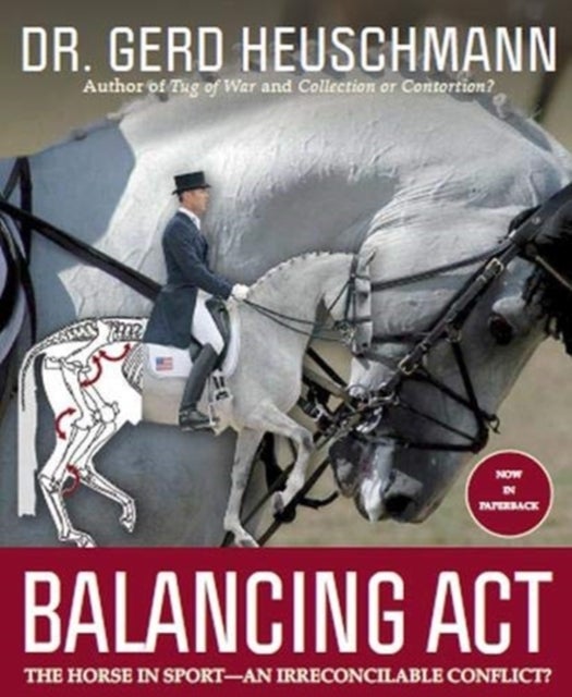 Bilde av Balancing Act Av Gerd Heuschmann