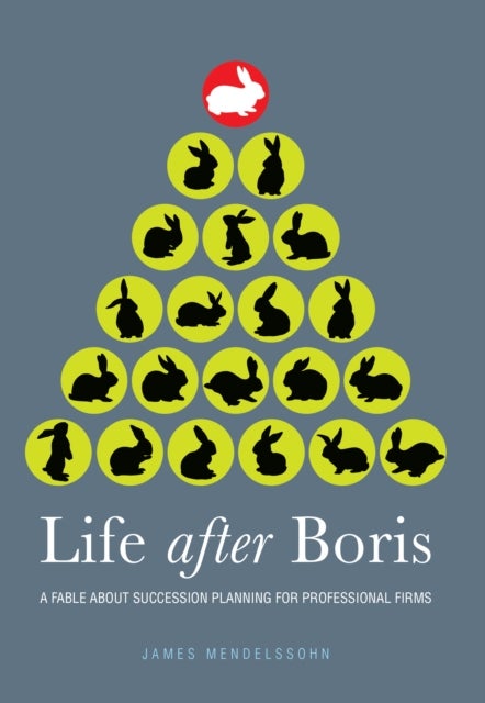 Life after Boris - A fable about succession planning for professional firms