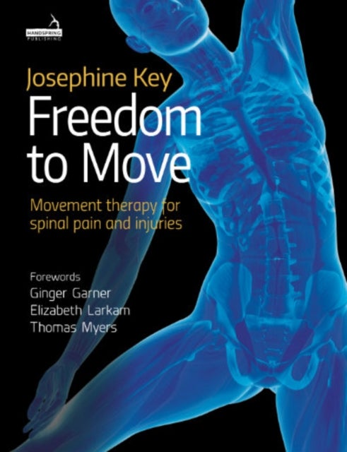 Well Connected - The Art and Science of Tailoring Movement Therapy for Spinal Pain and Injuries - A Practical Guide f
