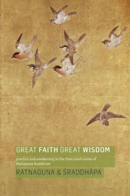 Great Faith, Great Wisdom - Practice and Awakening in the Pure Land Sutras of Mahayana Buddhism