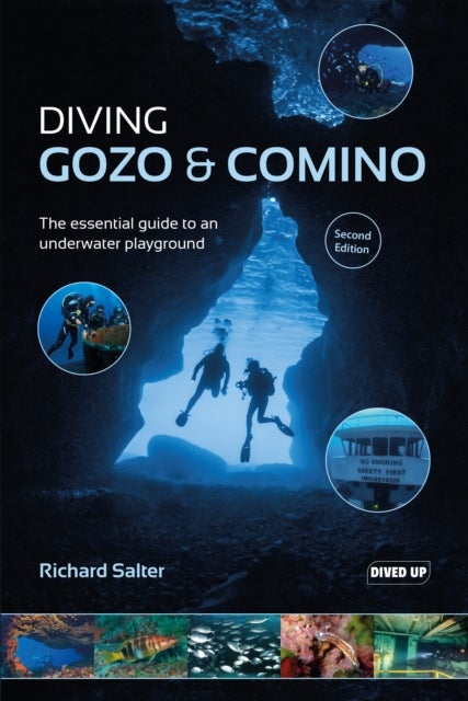 Diving Gozo & Comino - The essential guide to an underwater playground