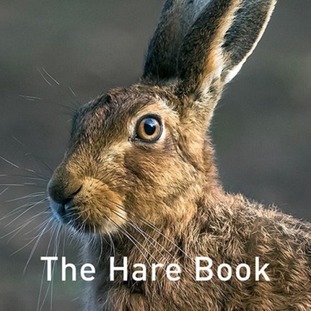 Bilde av Nature Book Series, The: The Hare Book Av Russ Jane