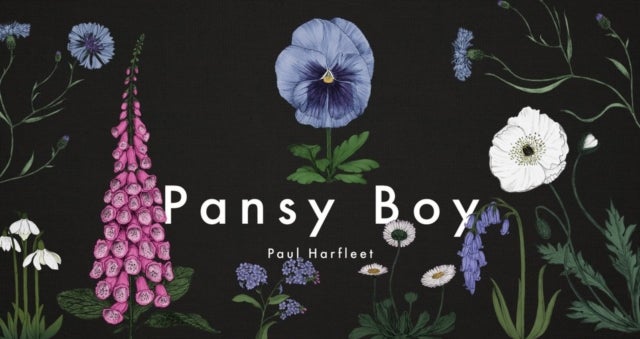 Bilde av Pansy Boy Av Paul Harfleet