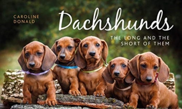Dachshunds - The Long and the Short of Them