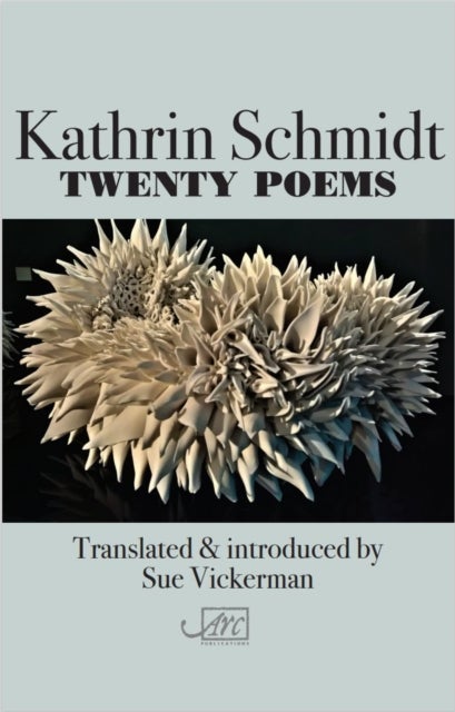 Bilde av Twenty Poems Av Kathrin Schmidt
