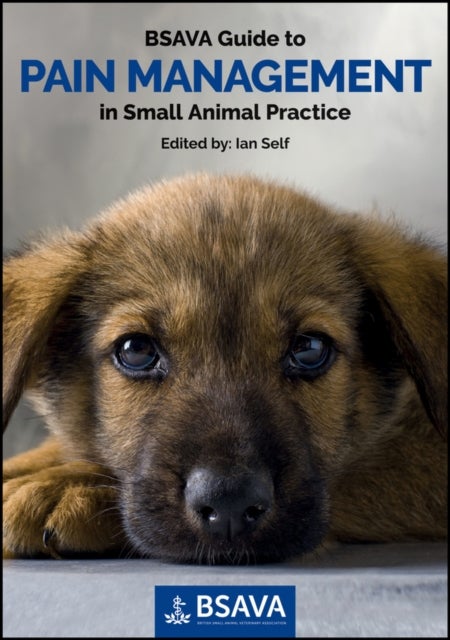 Bilde av Bsava Guide To Pain Management In Small Animal Practice Av I Self