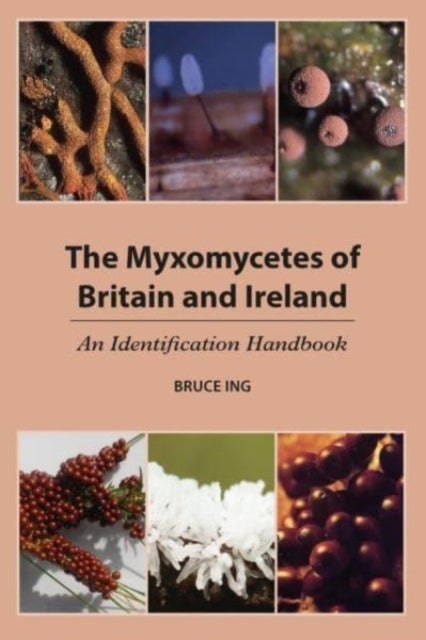 The Myxomycetes of Britain and Ireland - An Identification Handbook
