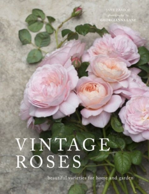 Vintage Roses - Beautiful varieties for home and garden